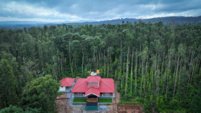 Kattegadde Homestay - Rooms with Private Balcony and Coffee Plantation